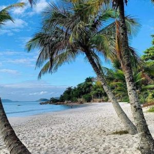 O verão de 2025 no mercado imobiliário promete ser movimentado, com várias tendências ganhando força.